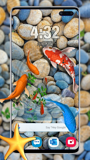 Fish Live Wallpaper 4D Touch Screenshot 2