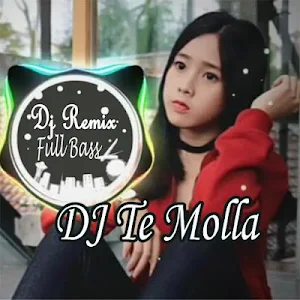Dj Te Molla Remix Full Bass Offline Screenshot 0