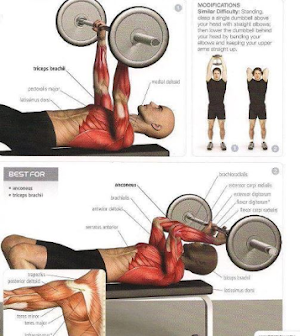 Gym Workout Screenshot 1