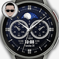 WFP 309 classic watch face