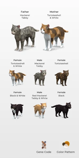 Cat Color Patterns Screenshot 0