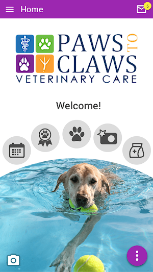 Paws2Claws Screenshot 0