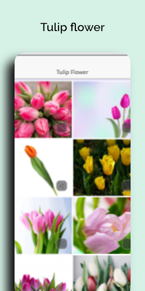 Mothers day wonderful Flowers Screenshot 3