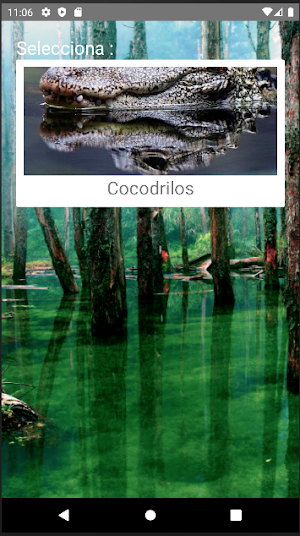 Rompecabezas de Cocodrilos Screenshot 0