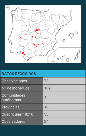 Proyecto AVIS screenshot 7