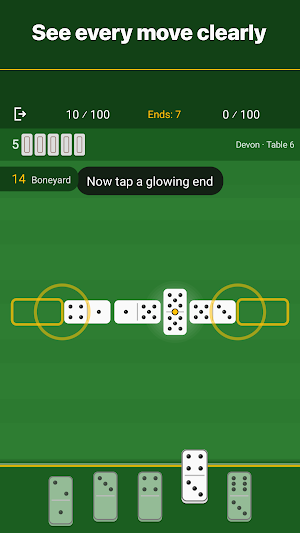 Dominoes: All Fives & Block Screenshot 2