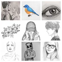 Drawing step by step videos
