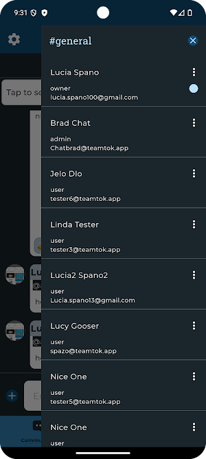 TeamTok! Screenshot 2