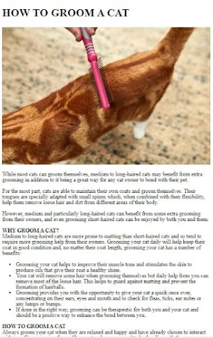 Cat Care & Grooming Guide Screenshot 0