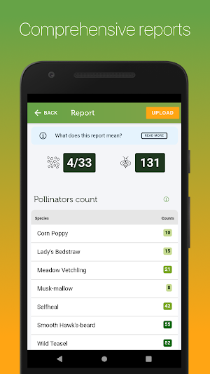 E-Surveyor Screenshot 2