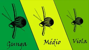 Capoeira Instruments Screenshot 2
