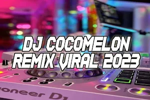 Dj Cocomelon Remix Screenshot 0
