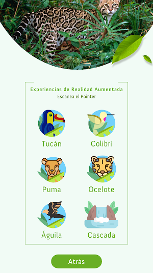 Panacam Lodge Screenshot 2