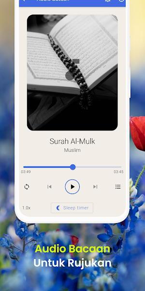 Surah Al-Mulk Screenshot 3