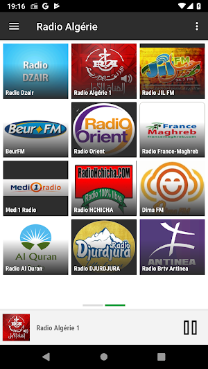 RADIO ALGERIE Screenshot 2
