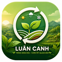 Luân Canh