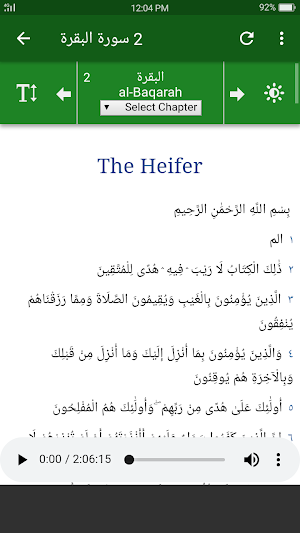 القرآن الكريم - مشاري العفاسي Screenshot 3