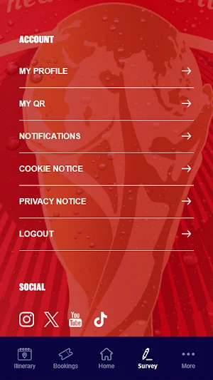 Bud FC Experience Screenshot 2