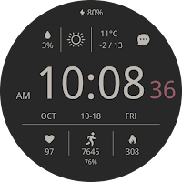 CELEST5568 Data Hub Watch