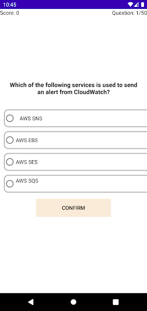 AWS CLF-C01 Practice Questions Screenshot 1