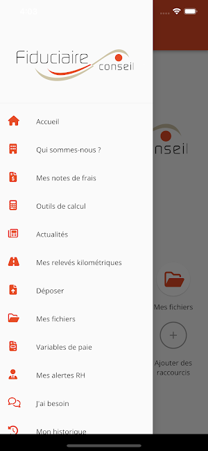 Fiduciaire Conseil Screenshot 2
