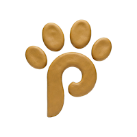 Patipetra