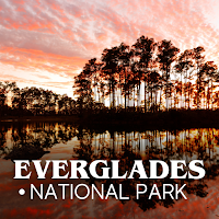 Everglades National Park Tour