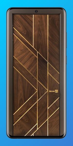 Aesthetic Door Ideas Screenshot 1