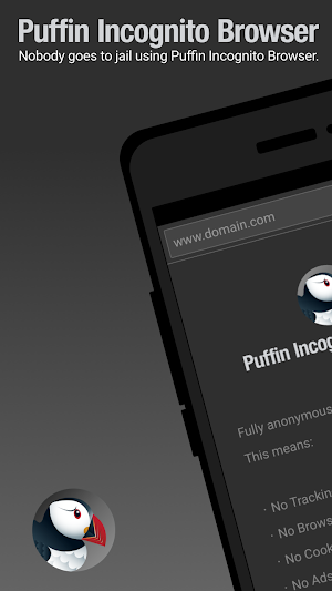 Puffin Incognito Browser Screenshot 0