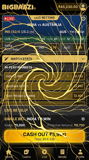 Big Baazi Casino Screenshot 2