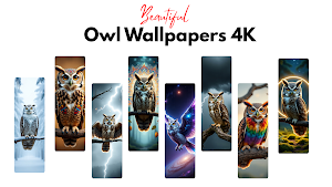 Owl Wallpaper 4K Screenshot 0