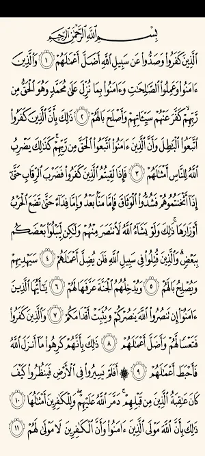 القران الكريم Screenshot 2