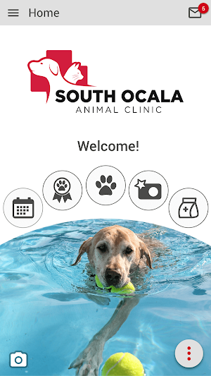 South Ocala Animal Clinic Screenshot 0