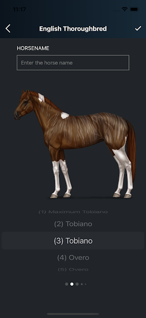 NOBLE HORSE DESIGNER Screenshot 1