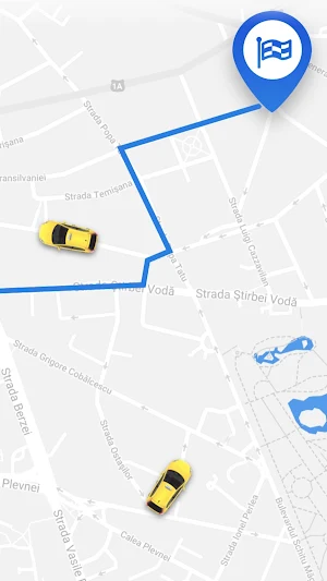 Euro Taxi Barlad Sofer Screenshot 2
