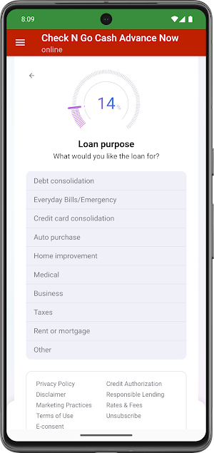 Check n go Cash Advance Now Screenshot 3