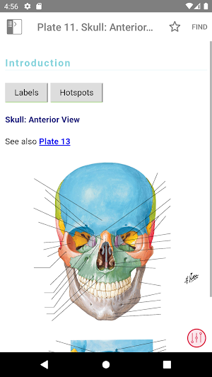 Netter's Atlas of Human Anatomy Screenshot 2