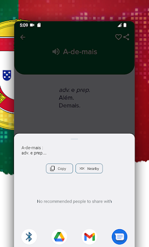 Dicionário de Português Screenshot 3