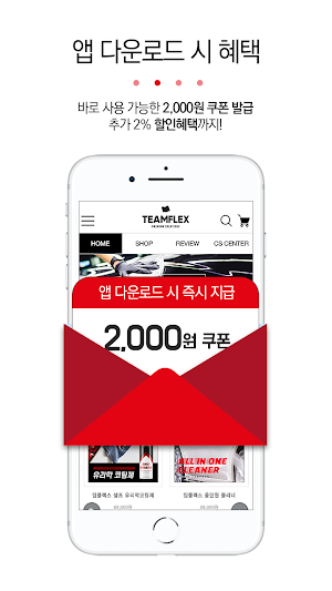 팀플렉스 - TEAMFLEX Screenshot 1