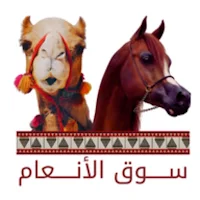 Souq Al Anam | سوق الأنعام