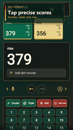 Darts Companion Screenshot 3