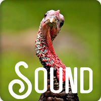 Turkey Soundboard Ringtone
