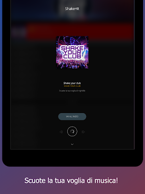 Radio Shake Hit Screenshot 3
