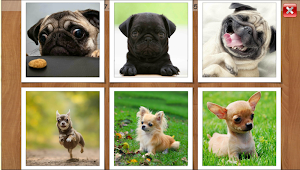Dogs Puzzles for Kids & Adults. Free jigsaw game! Screenshot 2