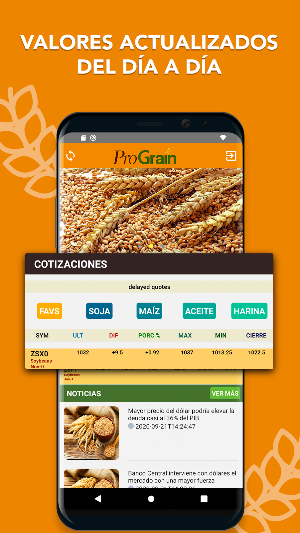 Prograin Screenshot 1