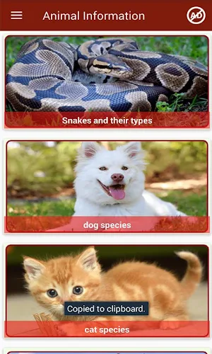 Animal Information in English Screenshot 2