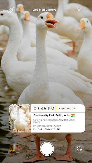 GPS Online Photo Screenshot 2