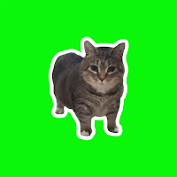 OIIAI CAT - Spinning Cat