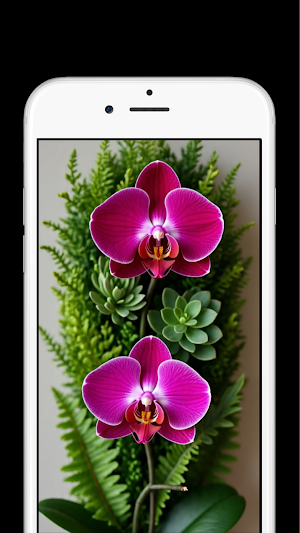 Orchid Flower Wallpapers Screenshot 3