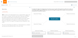 Elsevier Secure Browser Screenshot 1